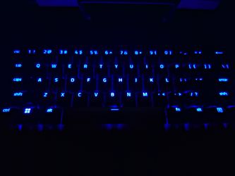 Razer huntsman v3 pro mini