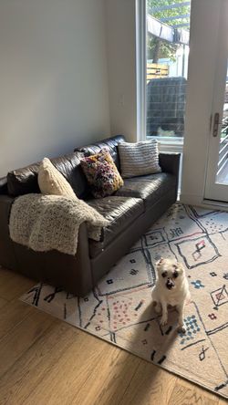 Crate & Barrel Barrett Leather Sofa