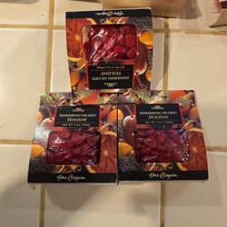  $3 Each Or $20 For All --Holiday Candles 