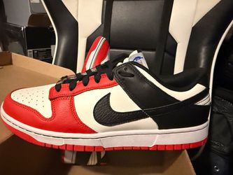 Nike dunk low NBA 75th Anniversary Chicago