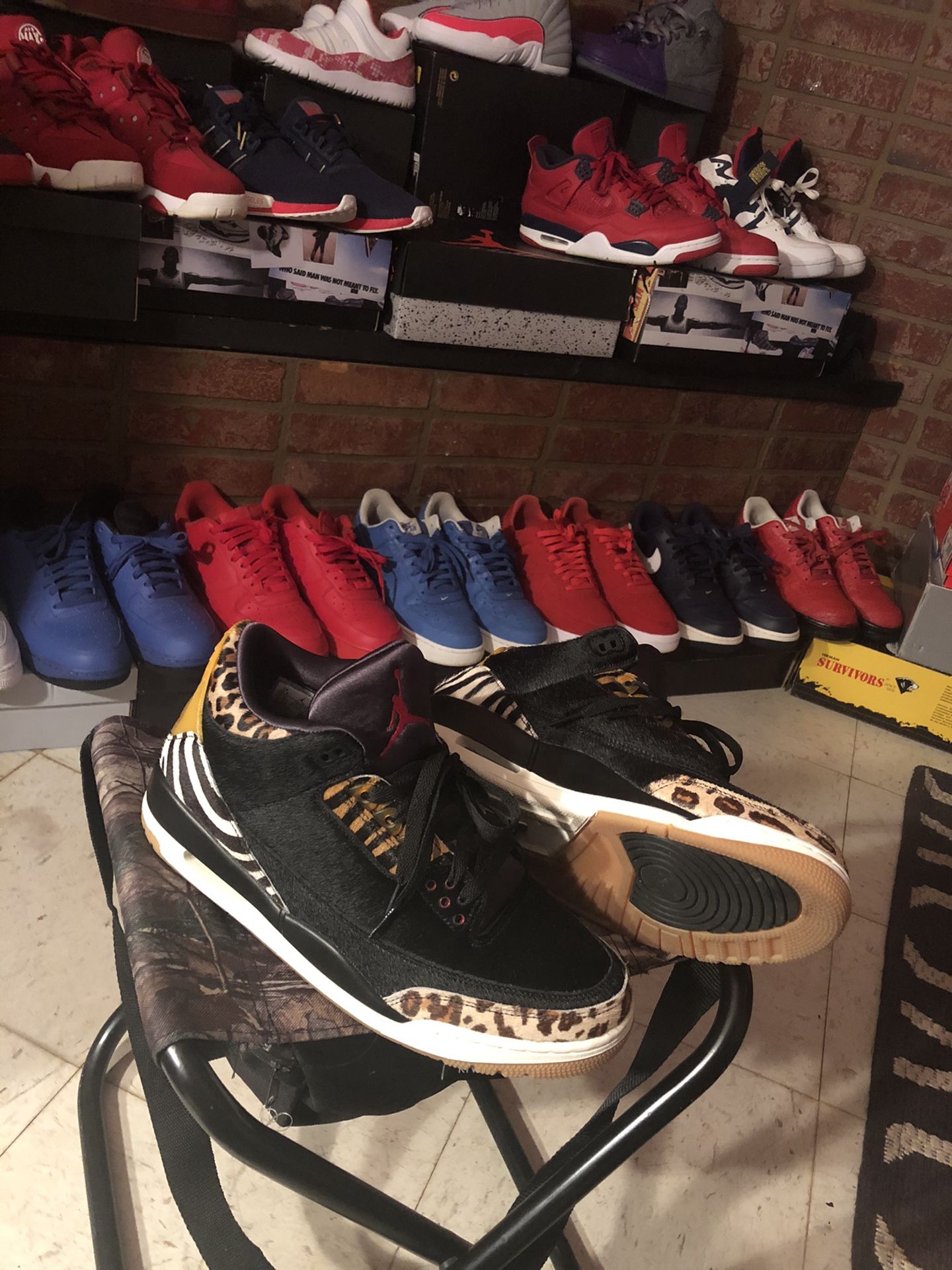 Nike Air Jordan 3 Retro SE 'Animal Instinct'