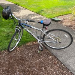Adult Sized Bike$120
