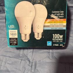 2 Light Bulbs   100 Watts 