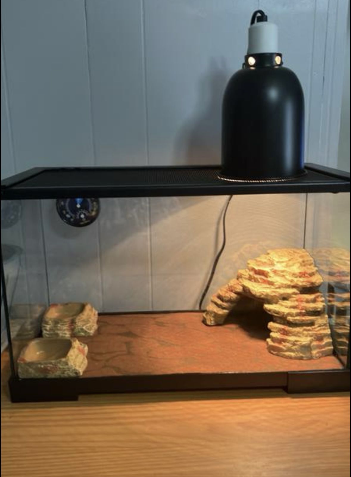 Reptile 10 G Tank