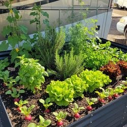 Raised Planter Bed