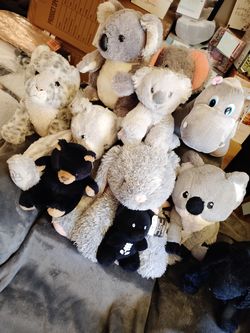 11 piece lot of Mixed Stuffed Animal.
