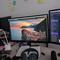 Acer 22" LCD monitor