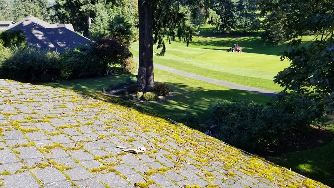 I do roof clean