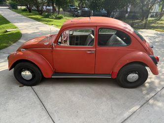 1968 VW Bug $5,555