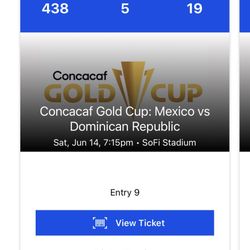 Concacaf Gold Cup Mexico Vs Dominican Republic 