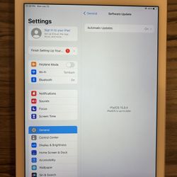 iPad 
