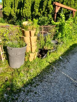 plastic planters and drit free