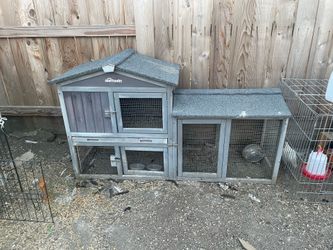 Chicken Coop