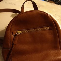 Fossil Backback