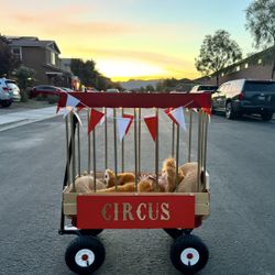 Radio Flyer Wagon Cage 