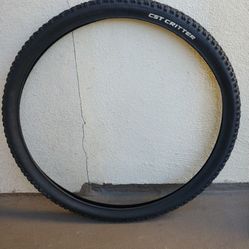 Mountain Bike. Bycicle Tire 29x2.10