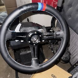Logitech Wheel