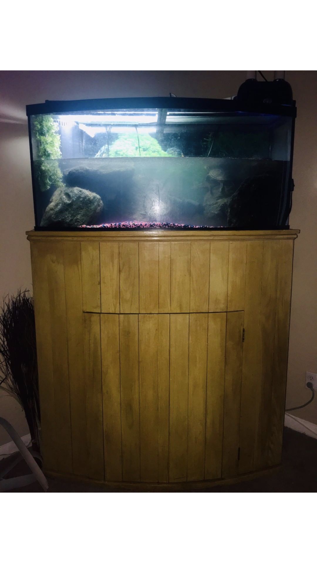 65 gallon fish tank with stand