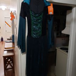 Spider Witch Costume Dress Halloween 2022