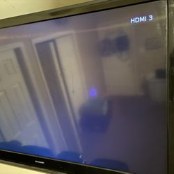 65” Flat Screen TV