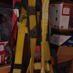 Harness With Lanyard