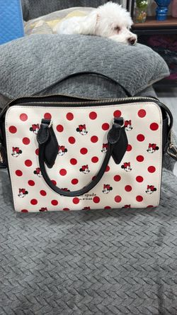Kate spade purse