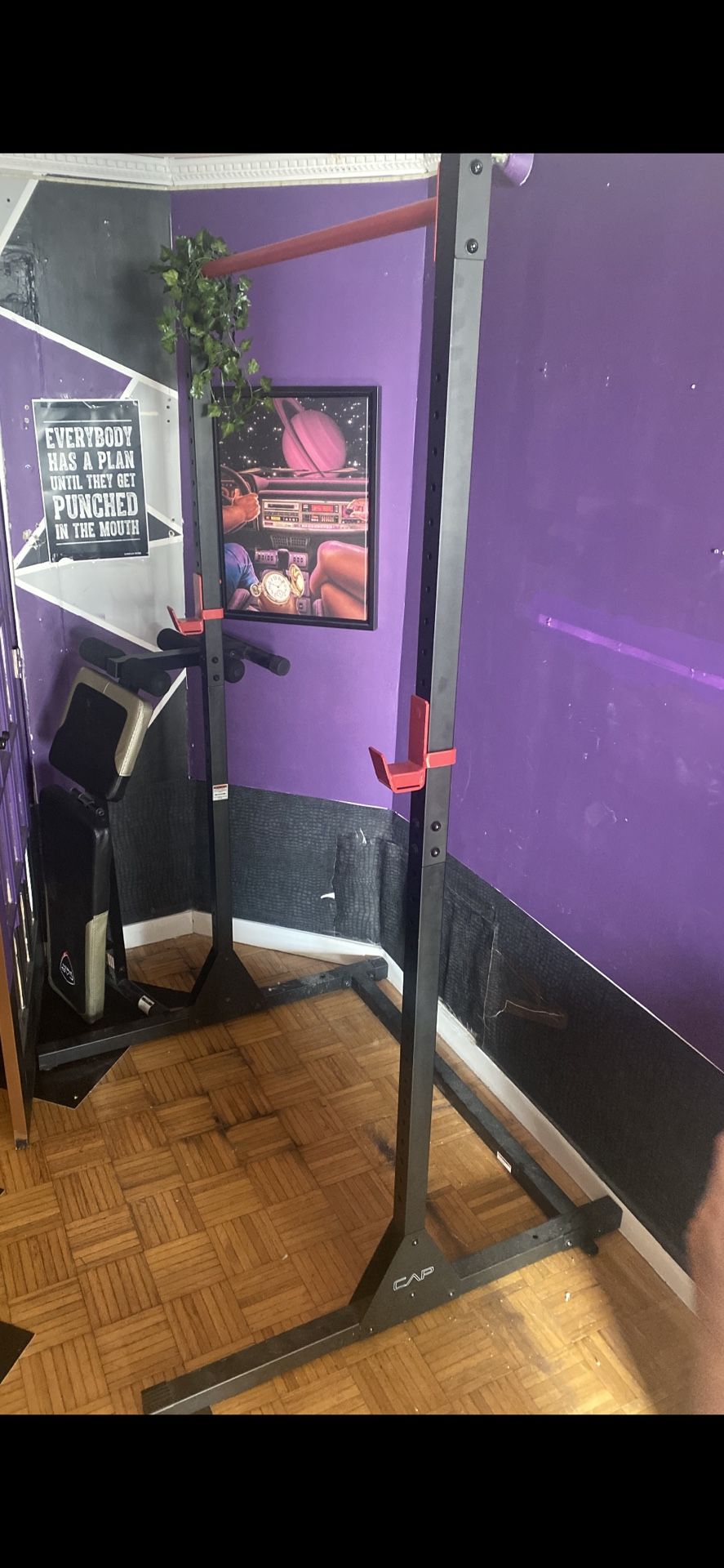 Various Exsercise Equipment/bench/Fitness Reality Squat Rack Power Cage