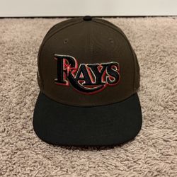 Tampa Bay Rays Brown Fitted Hat