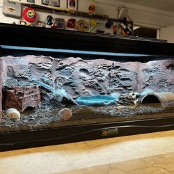 Custom! Fresh Build 8G Low Terrarium