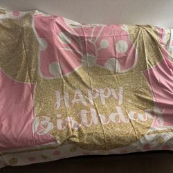 Minnie Mouse Birthday Decorations 