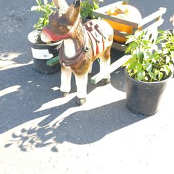 SELLING OUR DONKY WITH TRAILER 