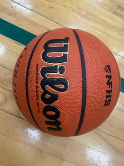 Wilson evolution indoor basketball