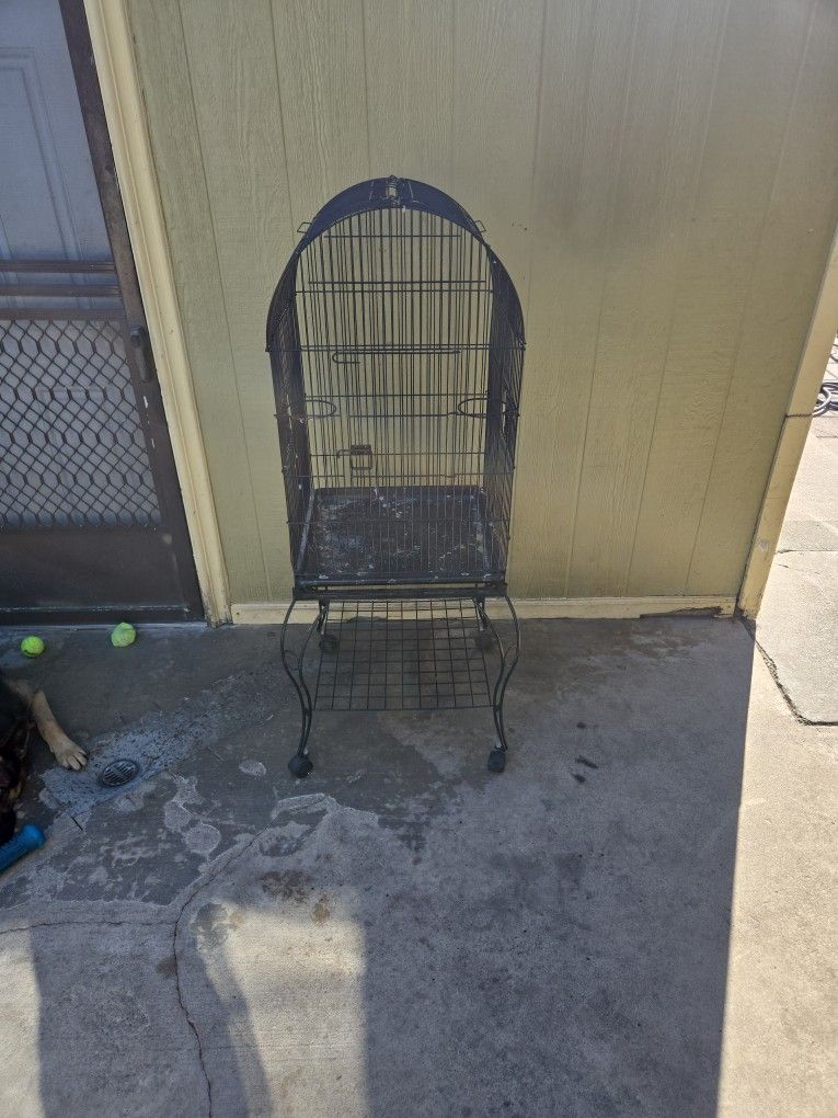 Bird 🐦 Cage 