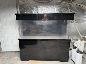 Over 100 Gallon Fish Tank