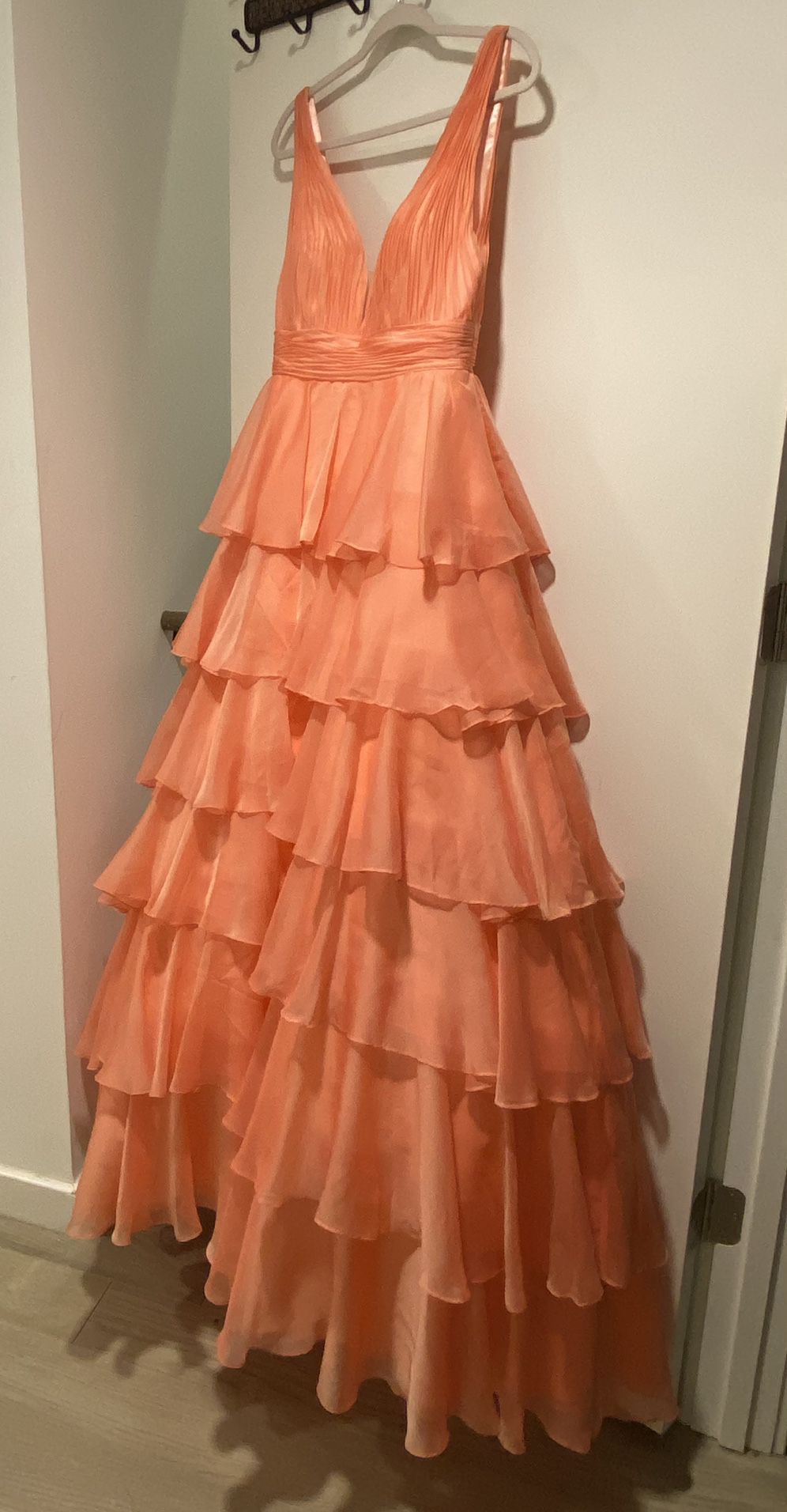 Disney Princess Adult Prom Dress 