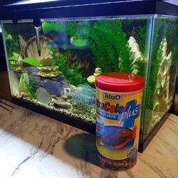 Fish Aquarium And All Accessories Included