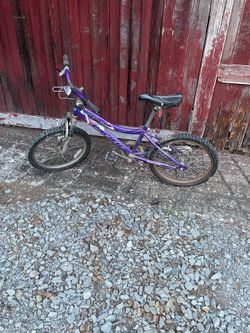 Bicycle