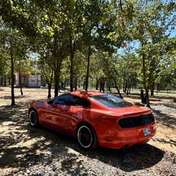 2015 Ford Mustang