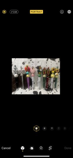 Cow Pens/ Virgen Mary /Sunflower/ Teacher Pens 