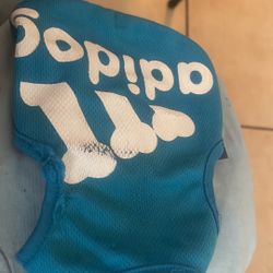 Pet Clothes
