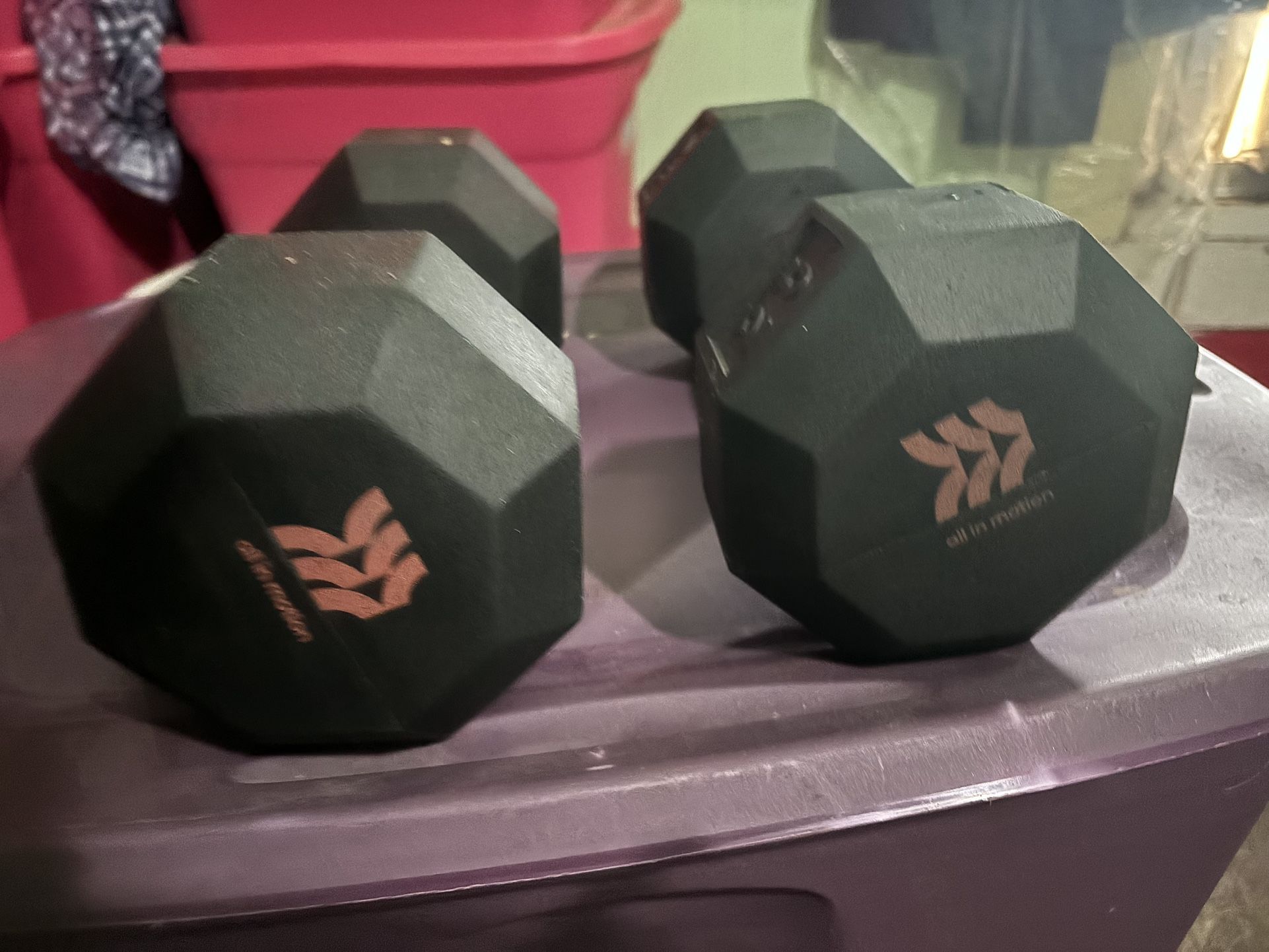 Two 25 Lb Dumbbells