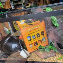 Reptile Tank With Accessories 