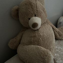 Teddy Bear 