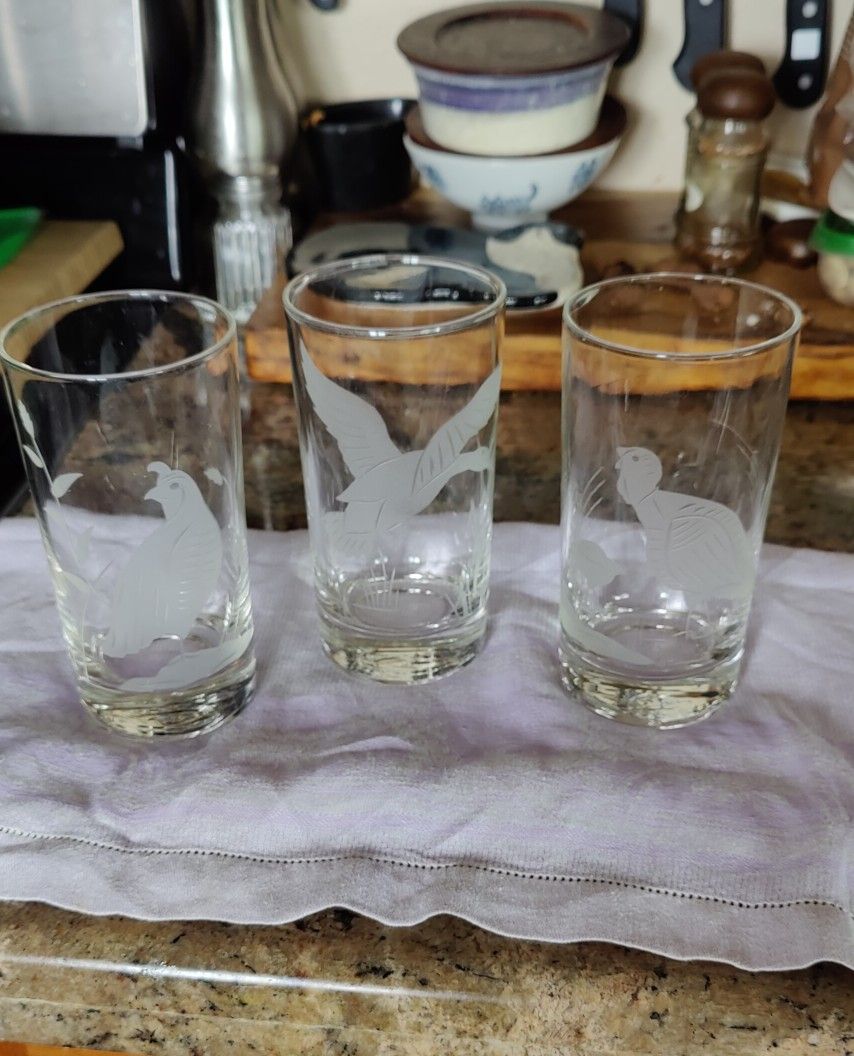 Vintage Etched Glass Juice Glasses--Wild Bird Motif 