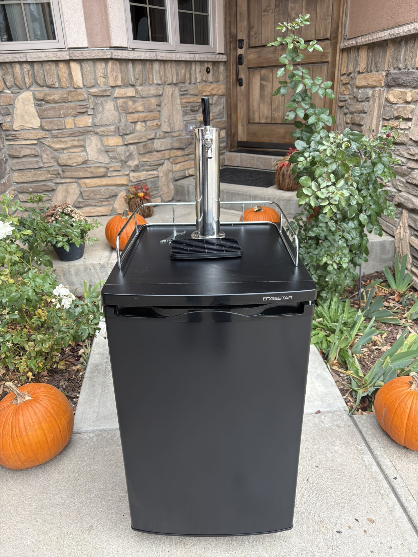 New edgestar Kegerator