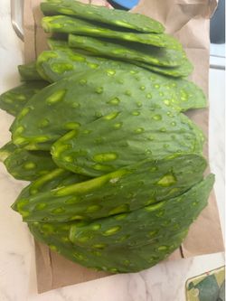 Nopales recién cortados y limpios