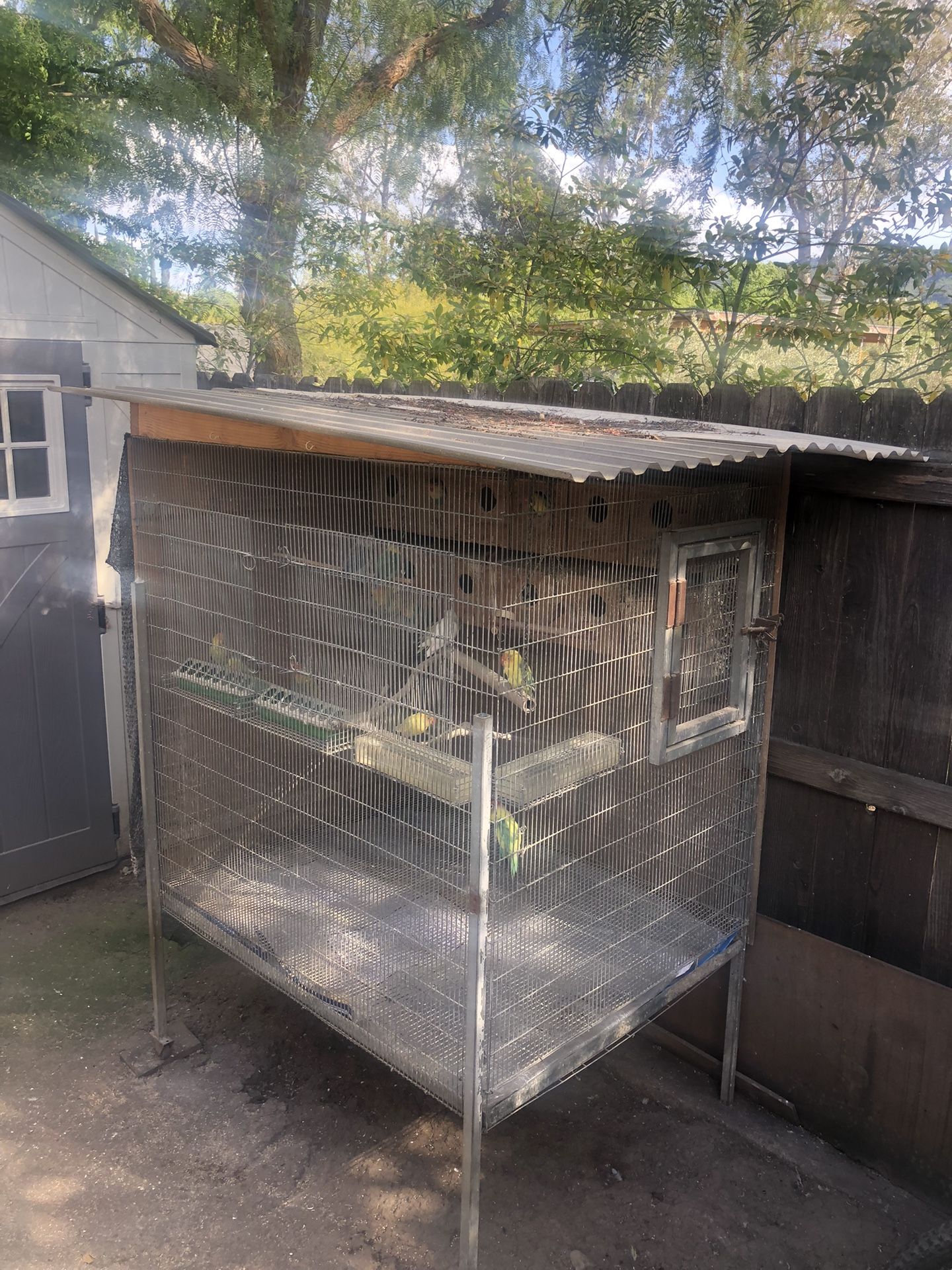 Bird Cage