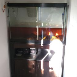 65 Gallon Aquarium With Stand