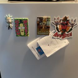 Rick And Morty Magnets 
