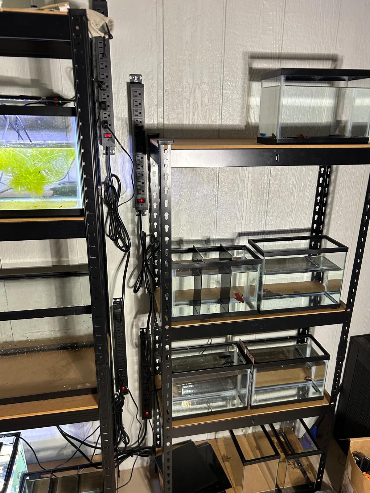 Aquariums Plus More